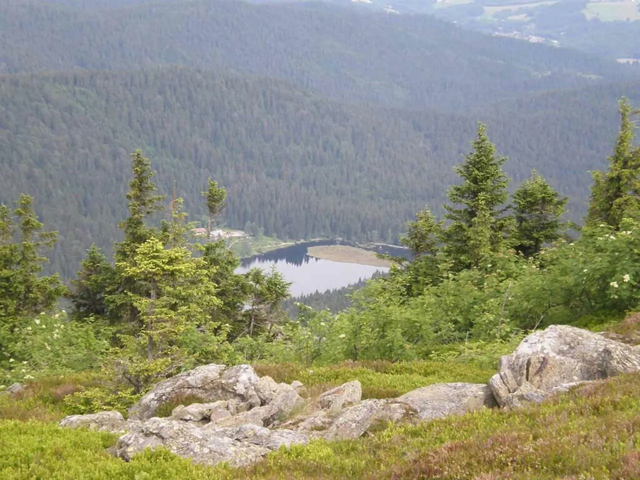 Gästehaus Schmalzreich Lam 0*,  Deutschland